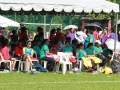 holla-mahla-games-year-2014-day-3-77