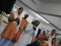the-annual-national-punjabi-bhasha-mela-2014-414
