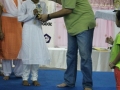 the-annual-national-punjabi-bhasha-mela-2014-449